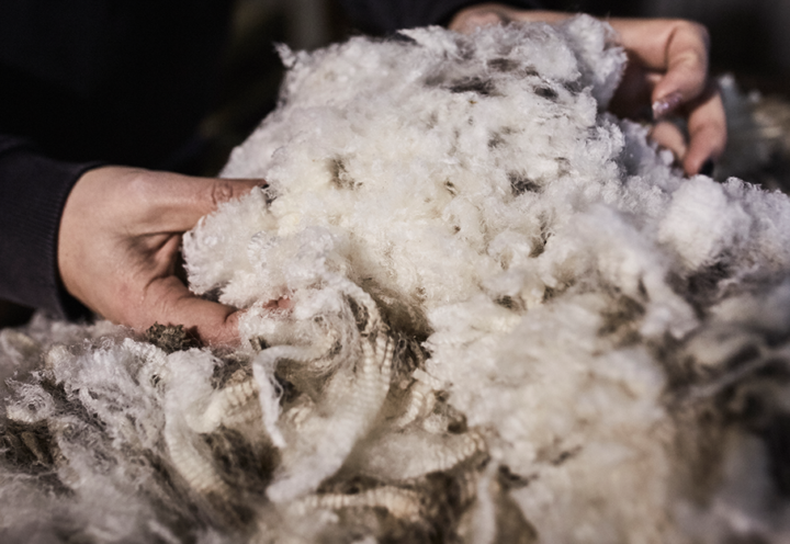 Materials: The Latest Innovations in Wool